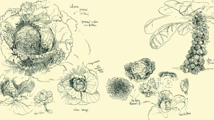 http://www.juliendeman.com/files/dimgs/thumb_3x300_6_70_888.jpg